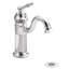 Waterhill Single Hole Bathroom Faucet with Pop-Up Drain-7147295