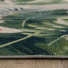 Visual Reference: Ebern Designs Tropical Botanical Floral Indoor Outdoor Area Rug Green