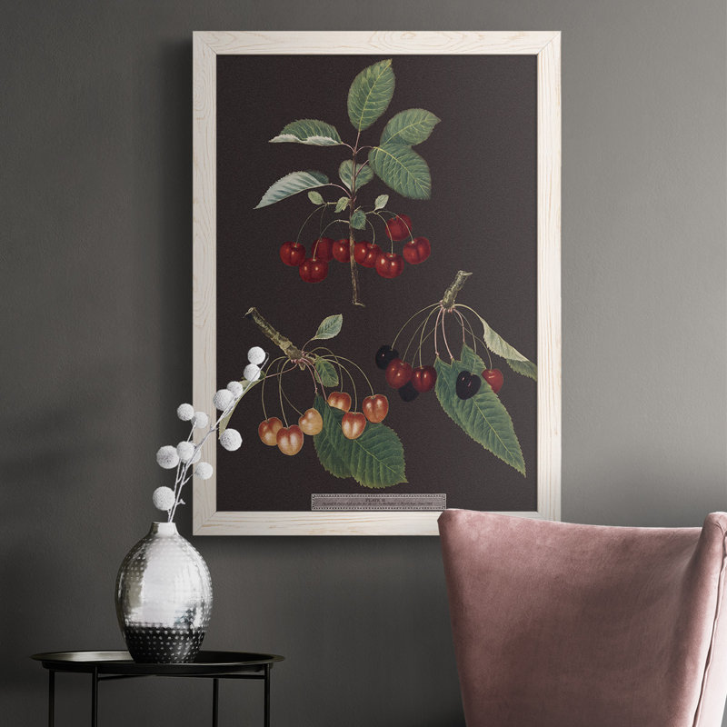 Brookshaw Cherries - Cadre photo unique, impression sur toile, H 37,5 po x l 27,5 po x P 1 po, Blanc