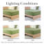 Ensemble de draps-housse en microfibre à double brossage 110 g / m² vert foncé sauge de Southwest Fine Linens-134472415-134472437