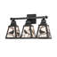 Vanity Light
