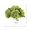 Hortensias dans un vase en verre-106608490-68378897