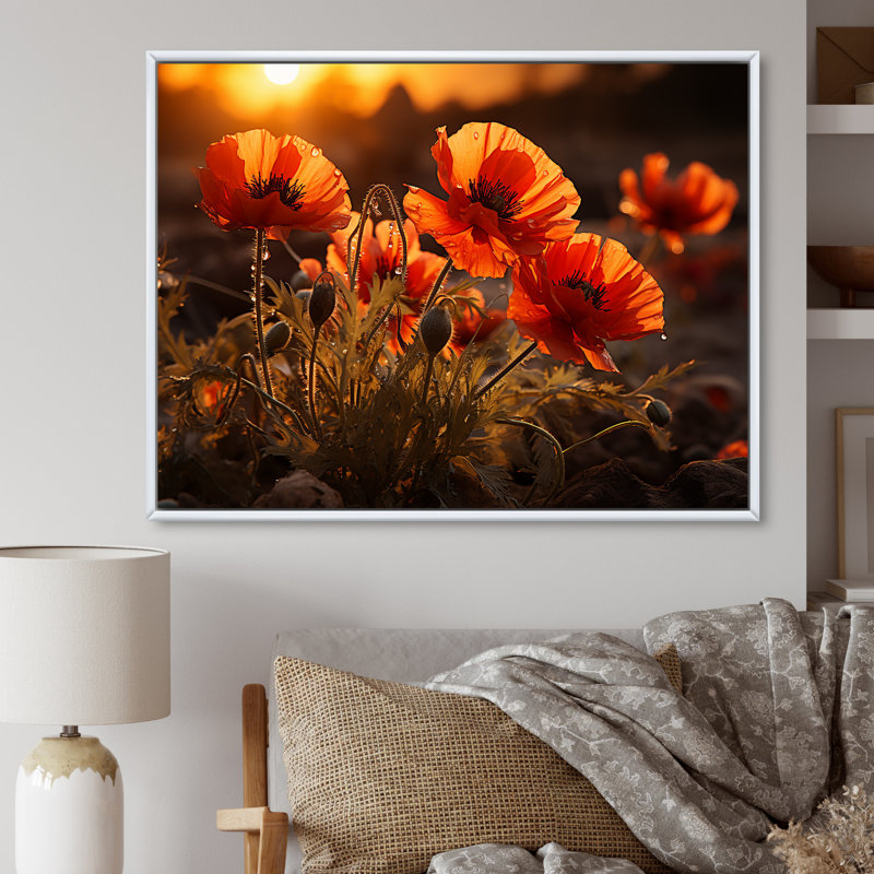 Coucher de soleil coquelicots dans la prairie, Cadre flottant blanc, H 24 po x l 32 po