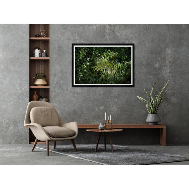 Athens Palm Print by Tim Klein