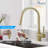 OAKLAND Pull Down Kitchen Faucet-55635329