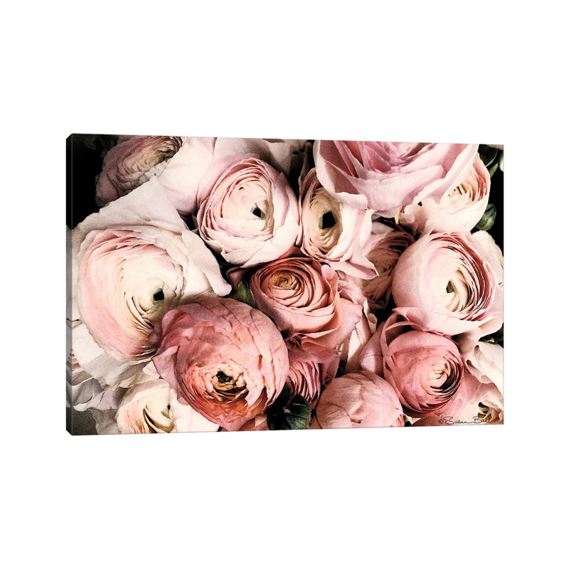 Coral Ranunculus by Susan Ball - Wrapped Canvas Print, 101.6 cm H x 66.04 cm W