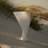 Euphonious Vase-Matte White