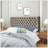 Upholstered Velvet Headboard
