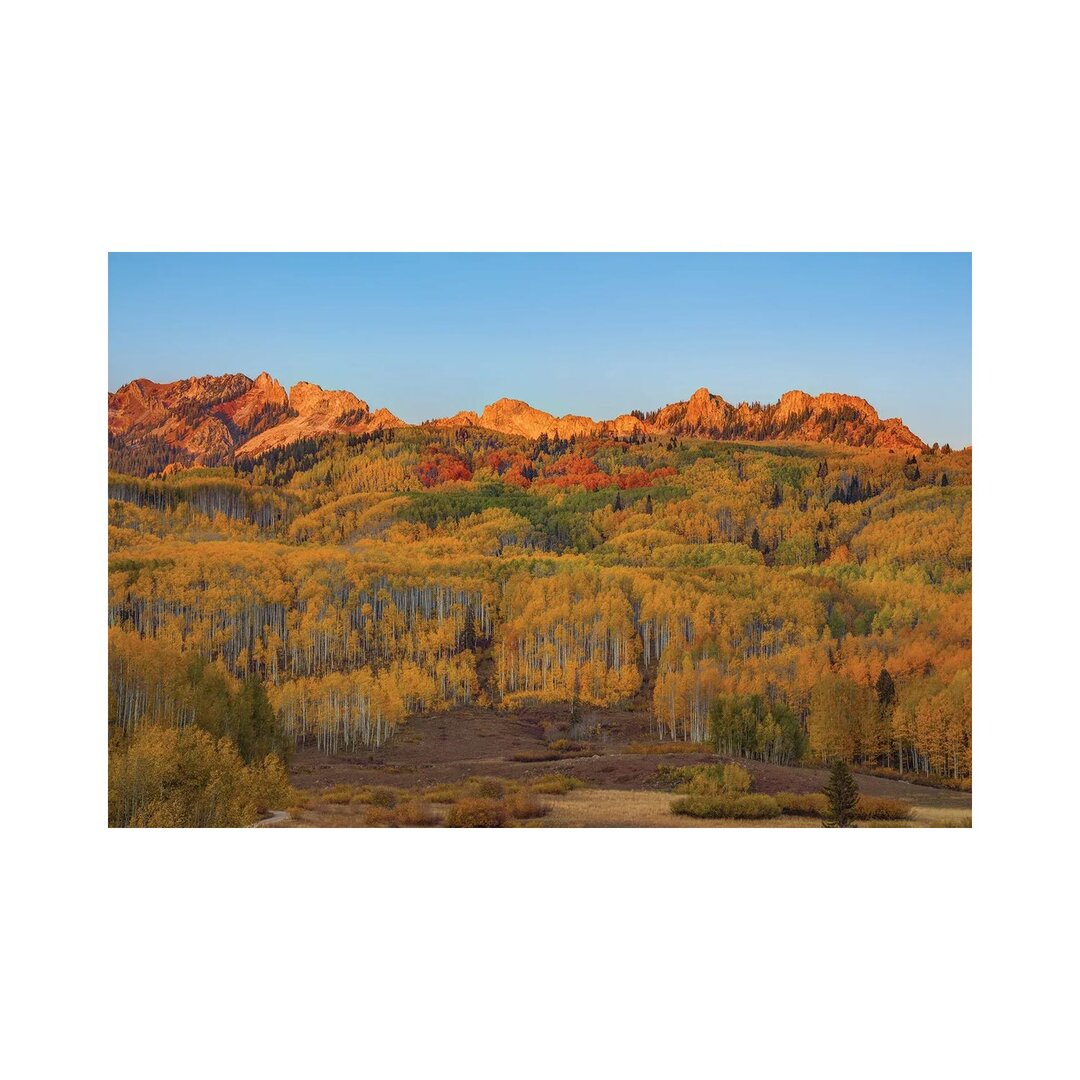 Fall Into Autumn von Bill Sherrell - Galerie-verpackte Leinwand Giclée