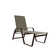 Holna Outdoor Rust-Resistant Metal Chaise Lounge