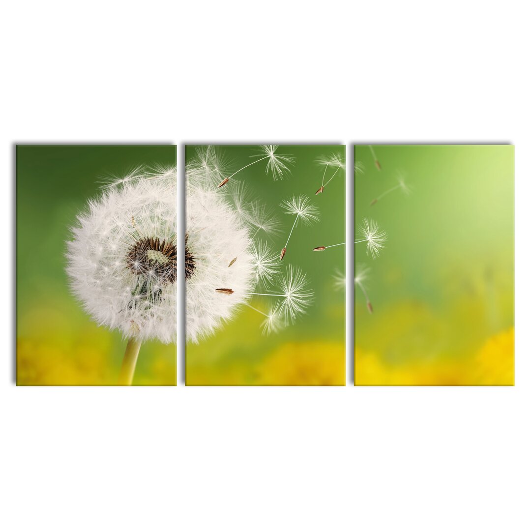 3-tlg. Leinwandbilder-Set Dandelion Seeds