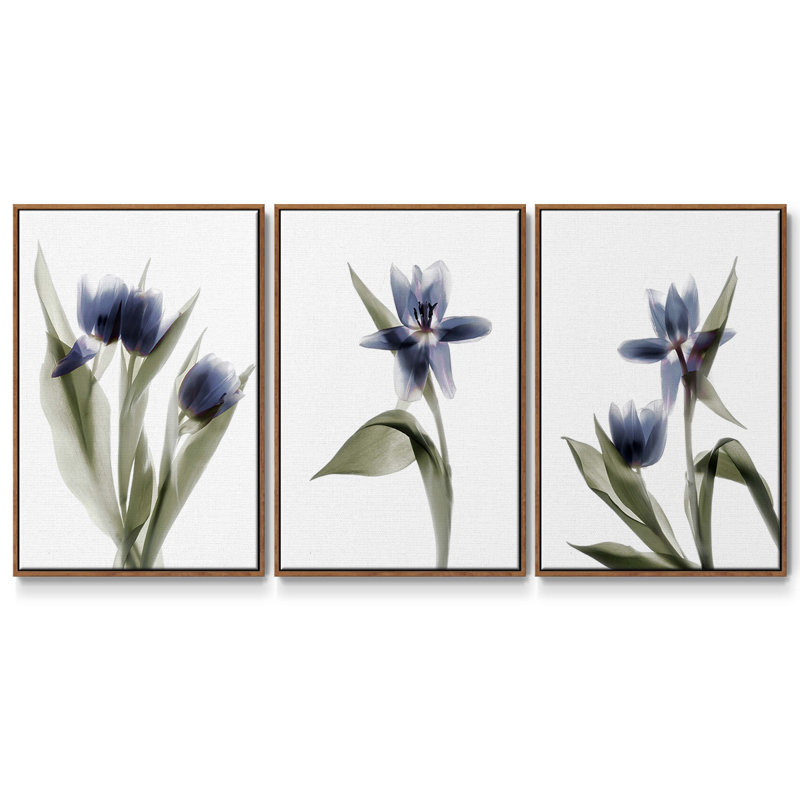 Ensemble de 3 pièces encadrées sur toile Xray, Noyer, H 27 po x l 54 po
