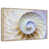 Floating Frame Natural Wood