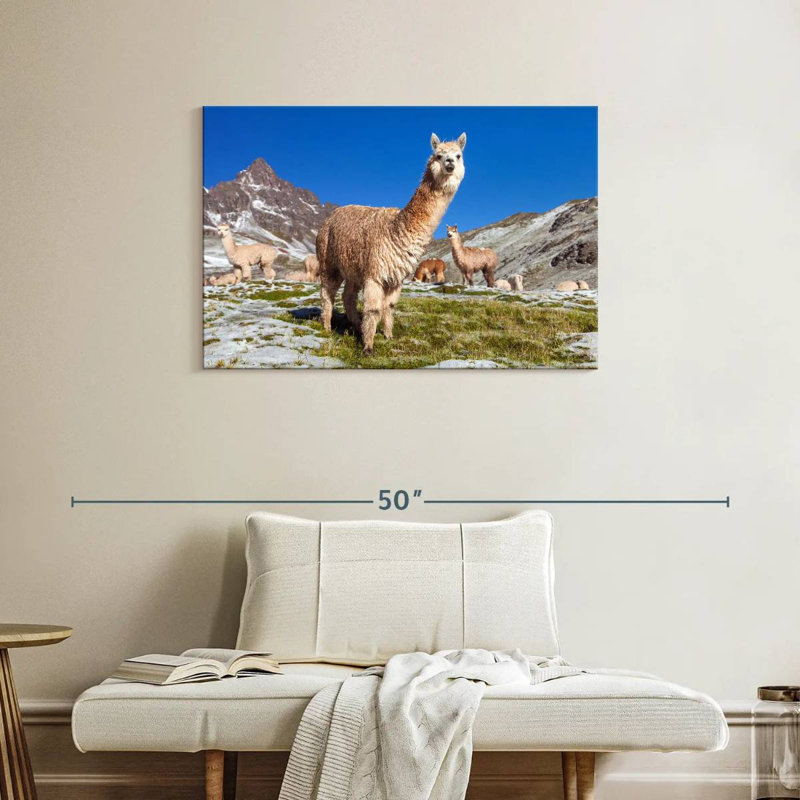 Brampt Woolly Andes Llamas, 24" H x 36" W