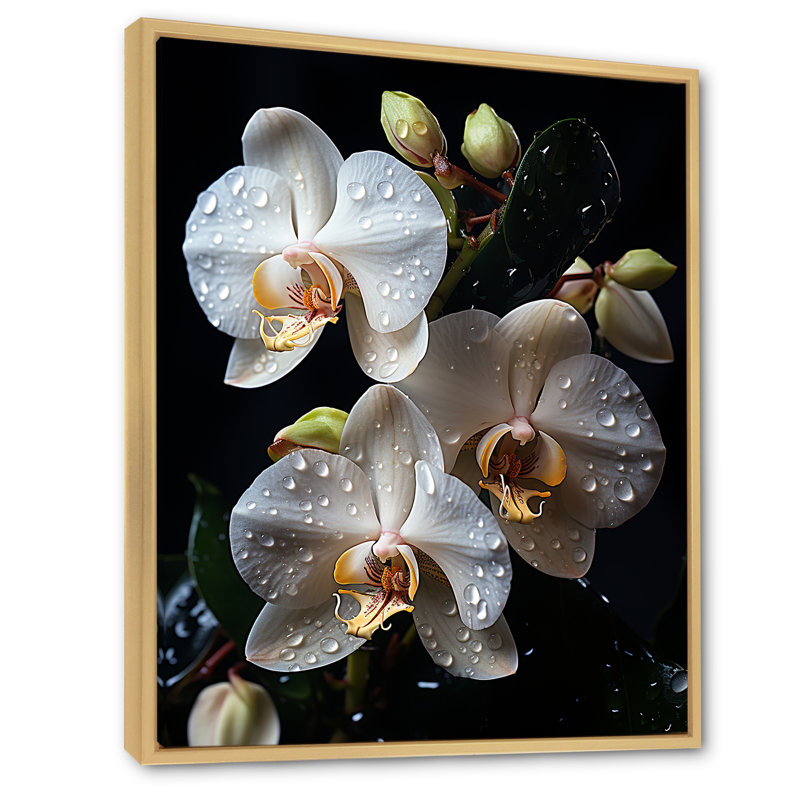 Orchidées blanches pétales d'élégance I, H 20 po x l 12 po x P 1 po, Cadre naturel flottant