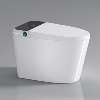 Toilette intelligente avec siège de bidet intégré