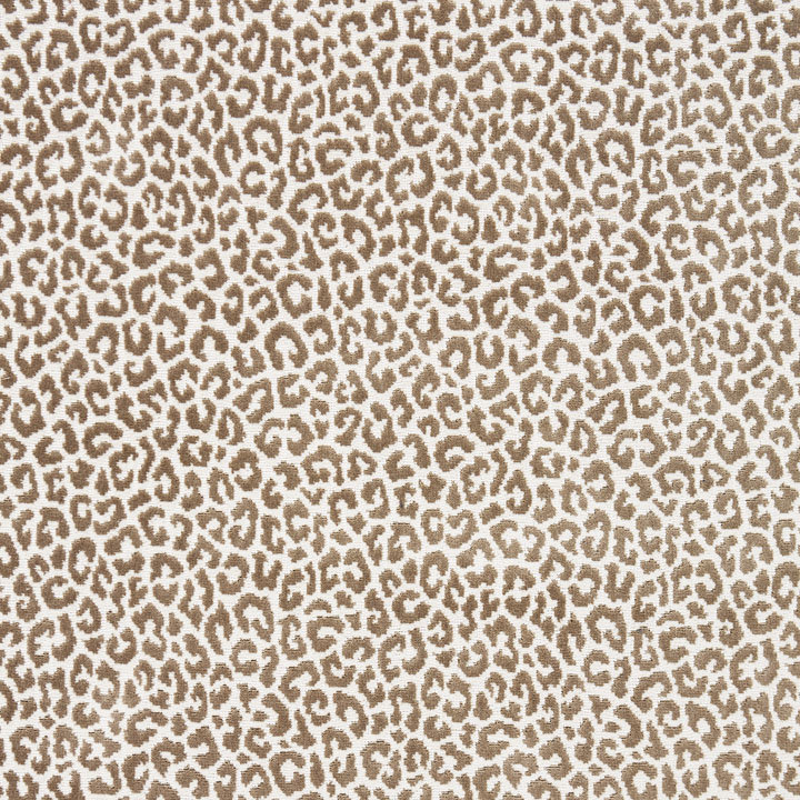 Oriana 100% Cotton Fabric, Sable