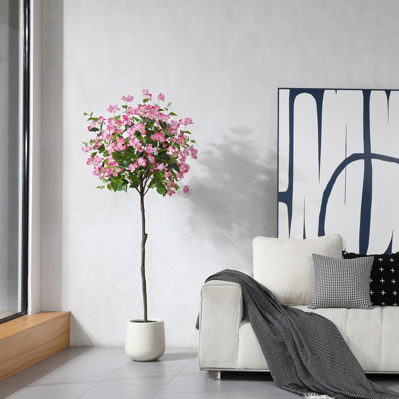 Arbre à fleurs Adcock Bougainvillea, H 72 po x l 24 po x P 24 po