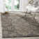 Ellyona Shag Performance Abstract Rug
