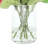 Hydrangea Arrangement in Vase-1124993897
