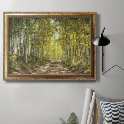 " Aspen Drive "