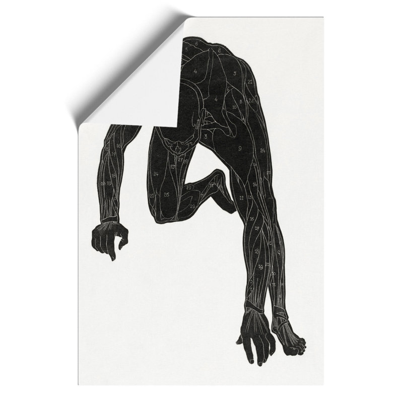 Anatomical Study of a Man by Reijer Stolk - Frameless Print, 84cm H x 59cm W x 0.1cm D