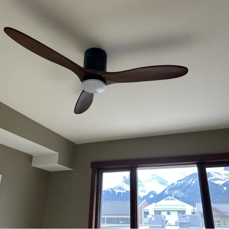 Brogan-Lee 52" 3 -Blade Flush Mount Ceiling Fan with Light Kit, Remote Control and Quiet DC Motor for Bedroom