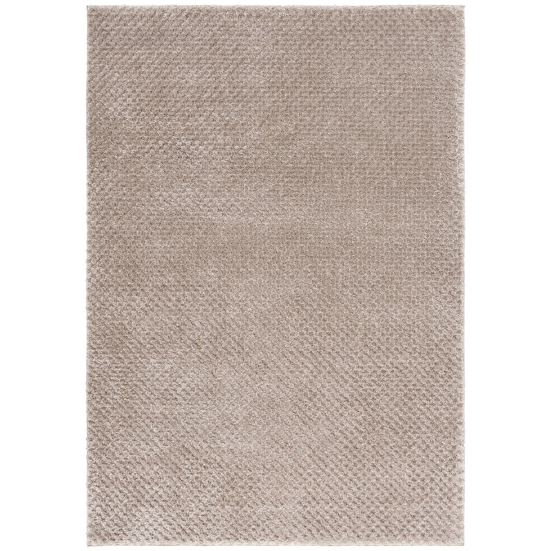 Tapis à poils longs Veerpal Penelope Performance, Rectangle 8 pi x 10 pi