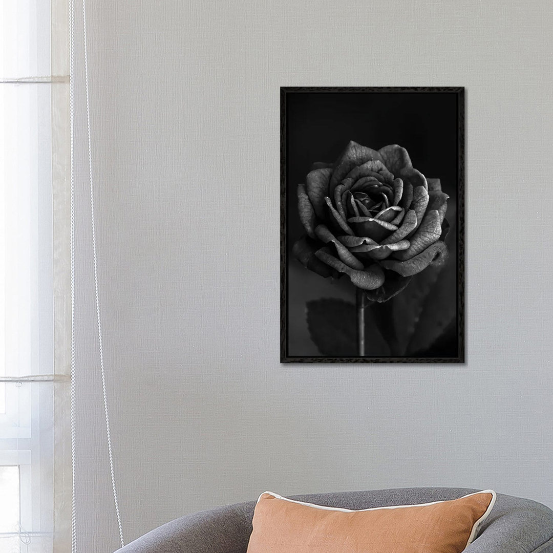 Dunkle Rose I von Bona Fidesa - Galerie-verpackte Leinwand Giclée auf Leinwand