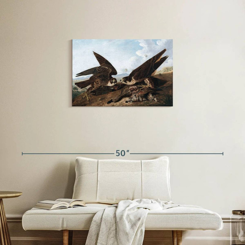 Brampt Peregrine Falcons, 20" H x 30" W