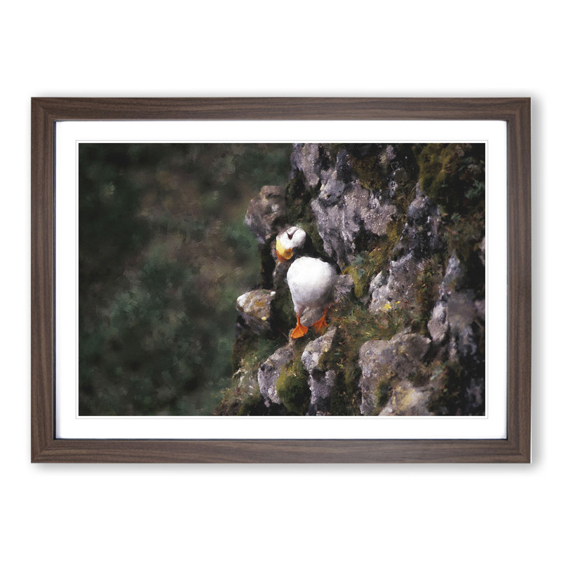 Atlantic Puffin Birds Vol.1 - Picture Frame Painting, 48cm H x 65cm W x 2cm D, Walnut Framed