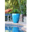 Catalina Pots By -415856417
