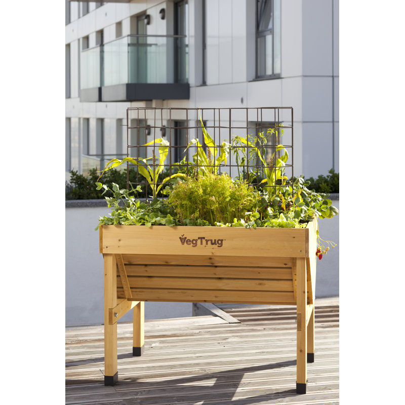 Small Classic VegTrug - Natural