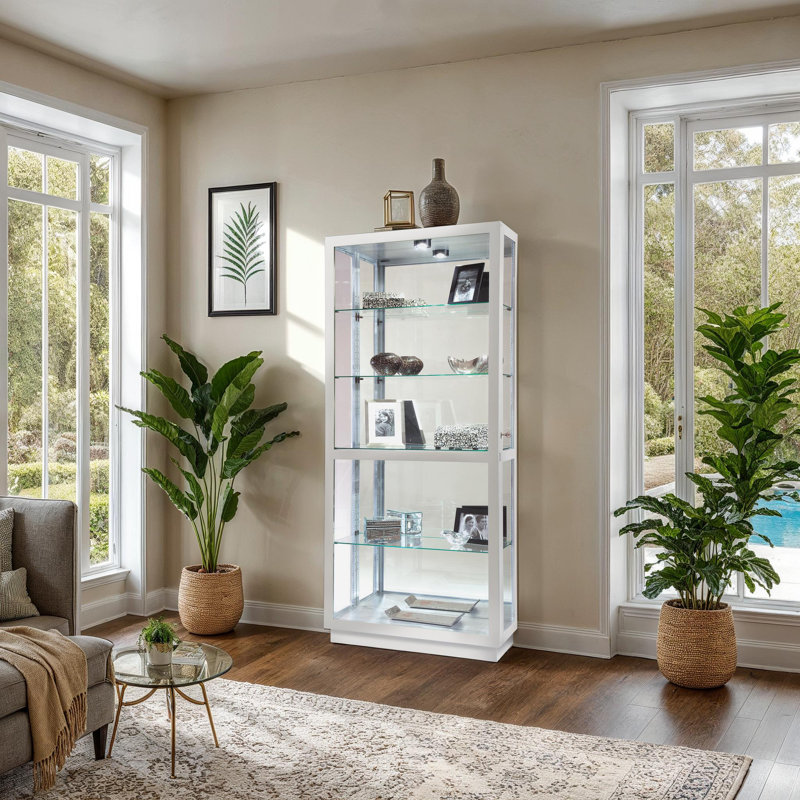 Jeliel Lighted Glass Curio Cabinet with Adjustable Shelves, Silver