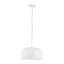Aldyn Pendant-2047013978
