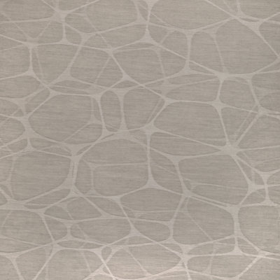 Giraffia