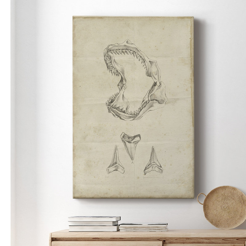 Shark Study II " Shark Study II ", 60" H x 40" W x 1" D
