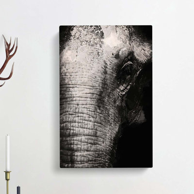 Mighty Elephant In The Shadows - Wrapped Canvas