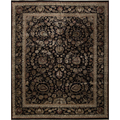 Extravagance II Oriental Hand-Knotted Rectangle Wool/Silk Area Rug in Black/Brown/Ivory