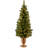 Montclair Spruce Entrance Tree with Clear Lights-92439933