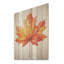 Feuille d'érable orange beauté II - érable sur bois-720518934
