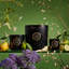 Jardin De Verveine 5 Wick Hearth Candle
