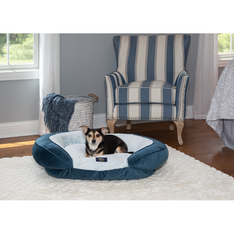 Lit ovale en mousse viscoélastique déchiquetée Serta, Grand (l 36 po x P 28 po x H 8 po), Bleu