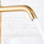 Lillet Brass Mono Basin Mixer