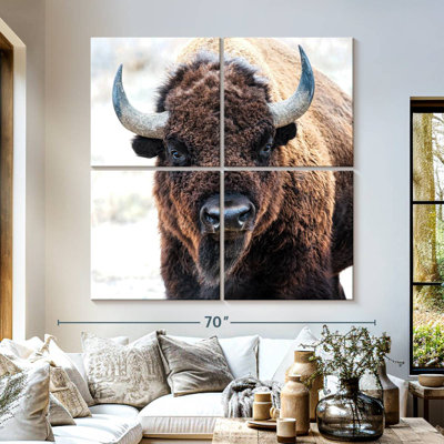 Bison d'Amérique - un trésor national