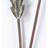 Llazar Plants & Flowers Garden Stake