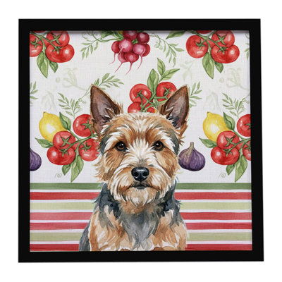 Norwich Terrier Vegetables Framed Metal Print