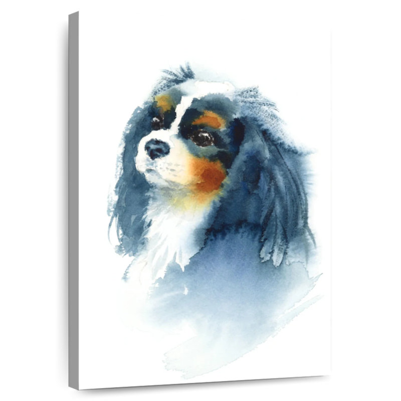 Brampt Cavalier King Charles, 48" H x 32" W