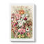 Orchids by Ernst Haeckel - Wrapped Canvas-61842859