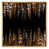Gold Floater Framed Canvas